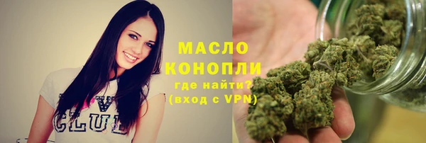шишки Арсеньев