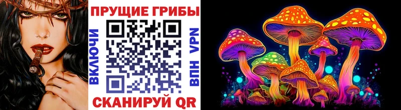 Псилоцибиновые грибы MAGIC MUSHROOMS  закладки  OMG   Малгобек 
